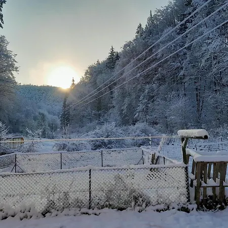 Domaine Du Kleinhammer Windstein