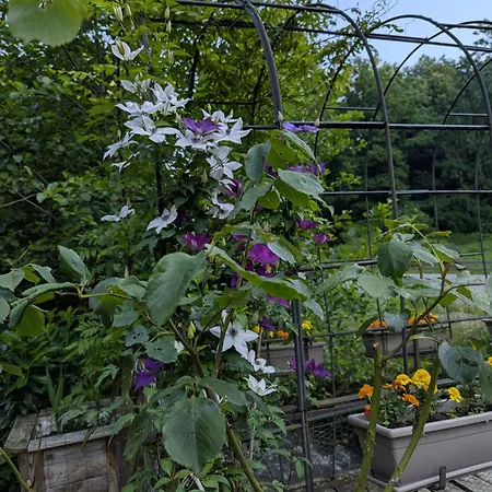 Domaine Du Kleinhammer Apartamento